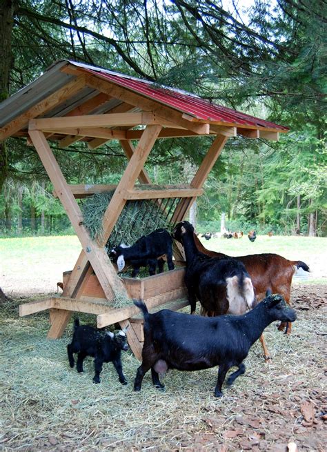 Applegarth Farm: The Spring Goat Menagerie