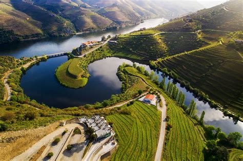 On The Douro Road: Your Guide to Wine Tourism in Portugal