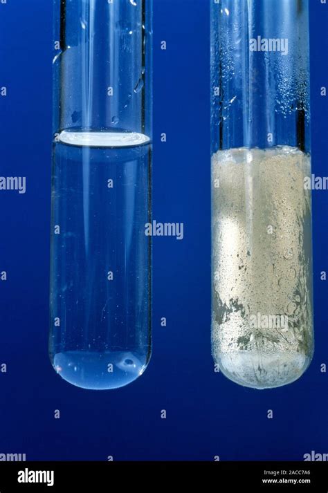 Silver mirror test. Tollen's reagent reacted with an aldehyde produces ...