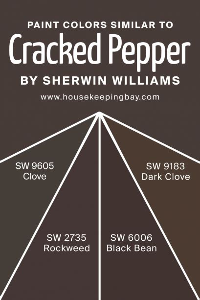 Cracked Pepper SW 9580 Paint Color by Sherwin-Williams