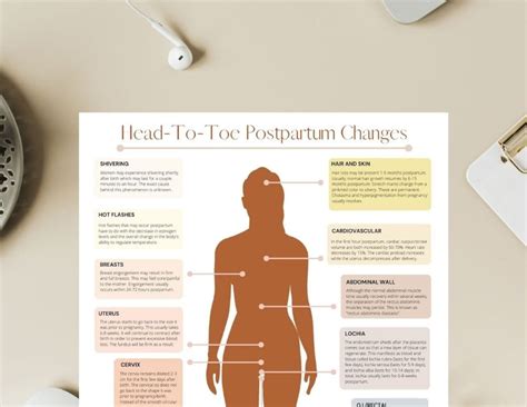 Postpartum Body Changes Handout PDF Printable Doula | Etsy