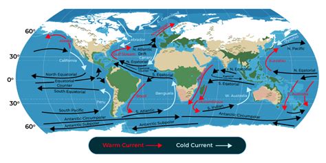 Ocean Currents Map For Kids