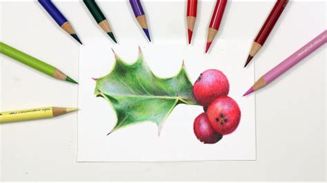 Drawing Holly Leaves And Berries at PaintingValley.com | Explore ...