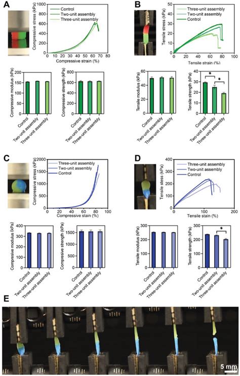 Mechanical characteristics of modularly assembled hydrogel constructs ...