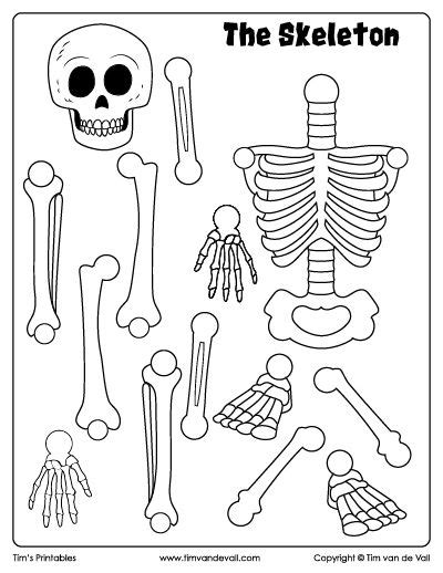 Skeleton Cut and Paste – Tim's Printables | Skeleton for kids, Skeleton ...