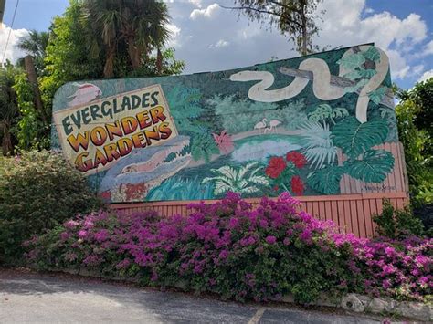 Everglades Wonder Gardens (Bonita Springs) - 2019 All You Need to Know ...