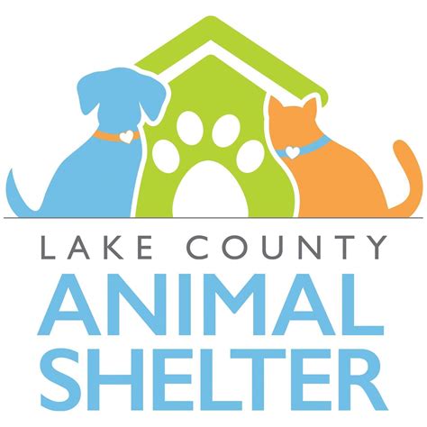 Pets for Adoption at Lake County Animal Shelter, in Tavares, FL | Petfinder