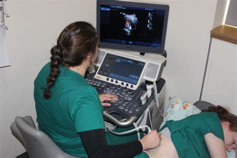 Diagnostic Medical Sonography Schools In Jacksonville Fl - INFOLEARNERS