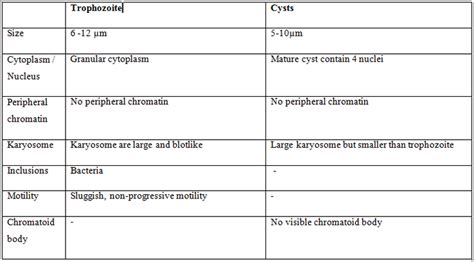 Endolimax nana - DIAGNOSTIC OF INTESTINAL AMEBAES