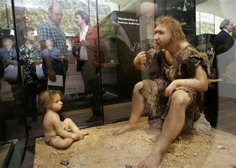 What Will Humans Look Like 10,000 Years From Now? | IBTimes