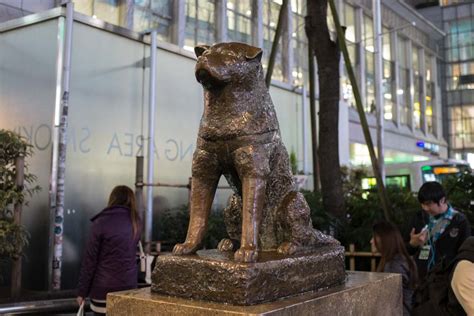 Hachiko: Tokyo's Most Famous Statue | japanistry.com