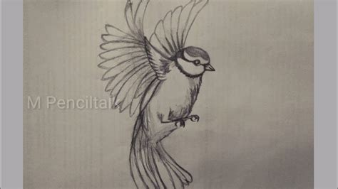 Flying Bird Pencil Drawing