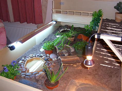 Diy Tortoise Table : Indoor Housing / Maybe you would like to learn ...