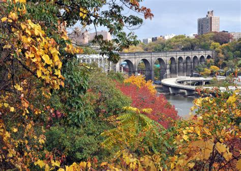 Highbridge Park : NYC Parks