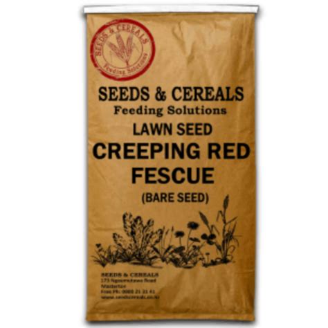 CREEPING RED FESCUE – Seeds & Cereals (2000) Ltd