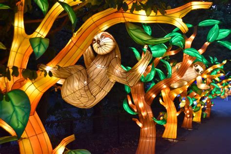 Chinese Lantern Spectacle Comes To Boston’s Franklin Park Zoo – WONDERLAND