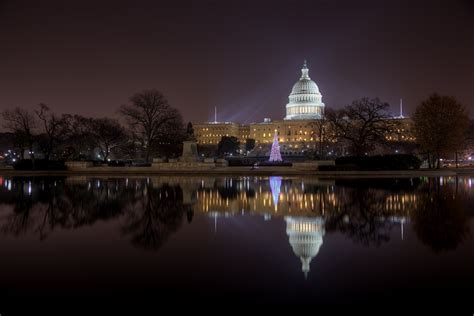 Capitol Christmas Tree