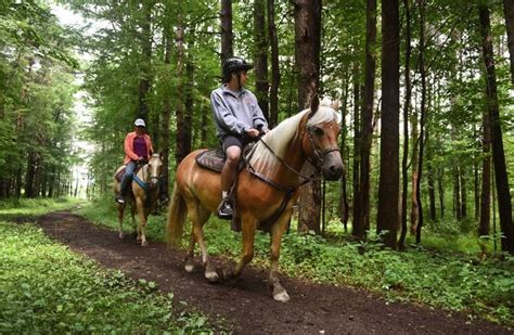 Horseback riding in Upstate NY: Where to go for lessons, trails, more ...