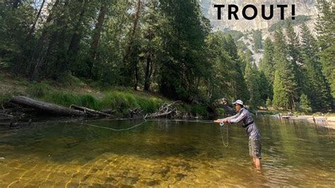 Fly Fishing Yosemite National Park | Trout Fishing | Grasshopper Fly ...