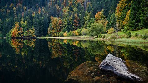 "HEAVENS ON EARTH": Black Forest mountain region, Germany & Black ...