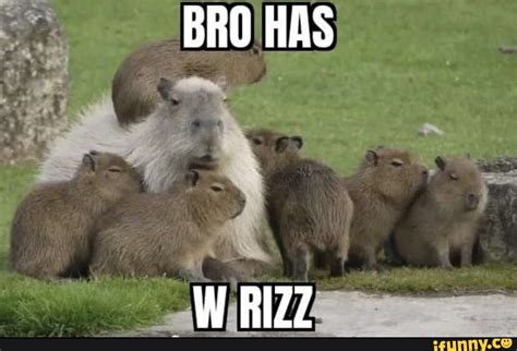 Bro has w rizz - BRO HAS W RIZZ - iFunny