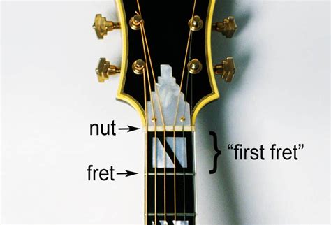 The Anatomy Of The Electric Guitar: All The Bits Explained... | ELECTRIKJAM