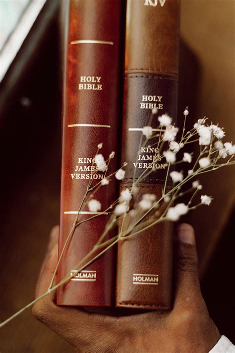 You Will Love This KJV Study Bible - Review Of 3 Holman KJV Bibles