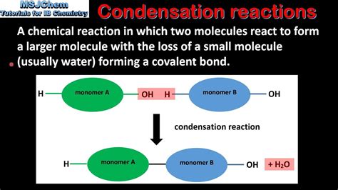 Viva diga Netto condensation reaction and hydrolysis Consolato ...