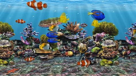 Animated Aquarium Wallpaper For Windows 7 Free