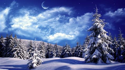 Download Windows Winter Pine Trees And Moon Wallpaper | Wallpapers.com