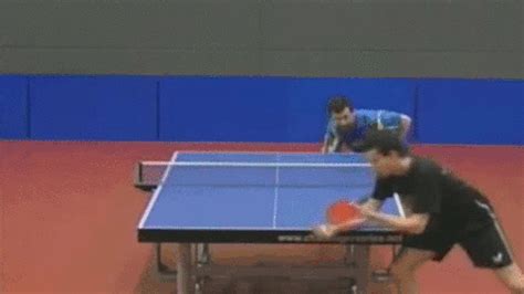 Table Tennis GIFs - Find & Share on GIPHY