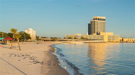 Are Dogs Allowed On Biloxi Beaches