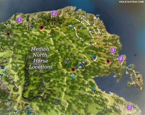 BDO Horse Taming Guide Plus Location Maps – Violet Astray