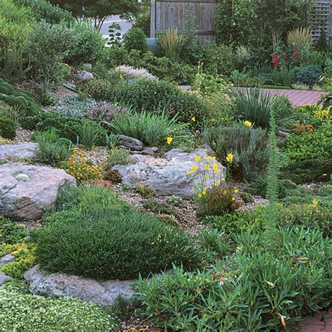 Rock Garden Primer - Fine Gardening