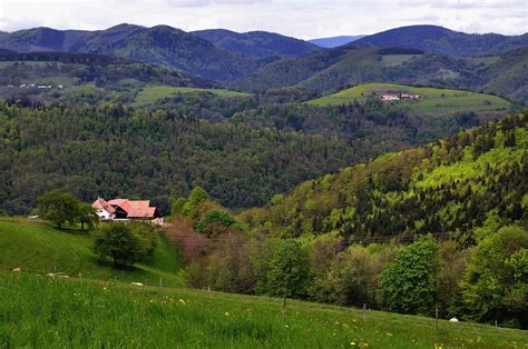 The Amazing Life: Vosges Mountain