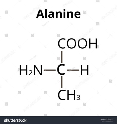 La alanina es un aminoácido. Fórmula: vector de stock (libre de ...