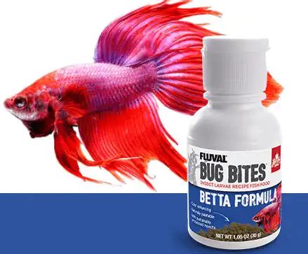 The 7 Best Betta Food Products For 2024 [Tested And Reviewed ...