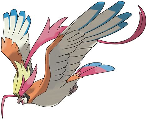 Pidgeot Pokédex: stats, moves, evolution & locations | Pokémon Database