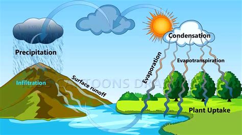 What is Water Cycle ? / Water Cycle Education /Hydrological Cycle ...