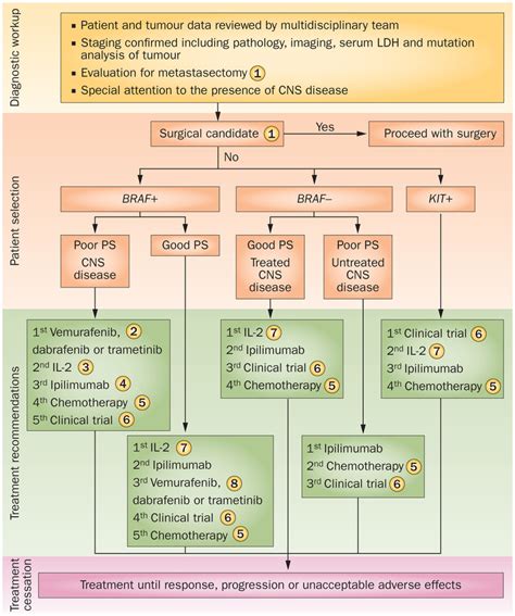 Stage 4 Melanoma Cancer