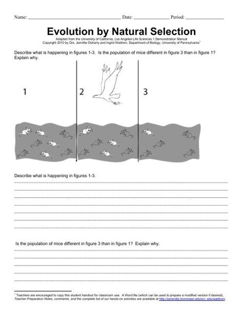 Worksheets On Evolution - Worksheets For Kindergarten