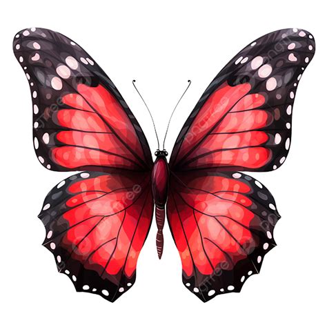 Red Butterfly Transparent Background, Transparent, Red Butterfly ...