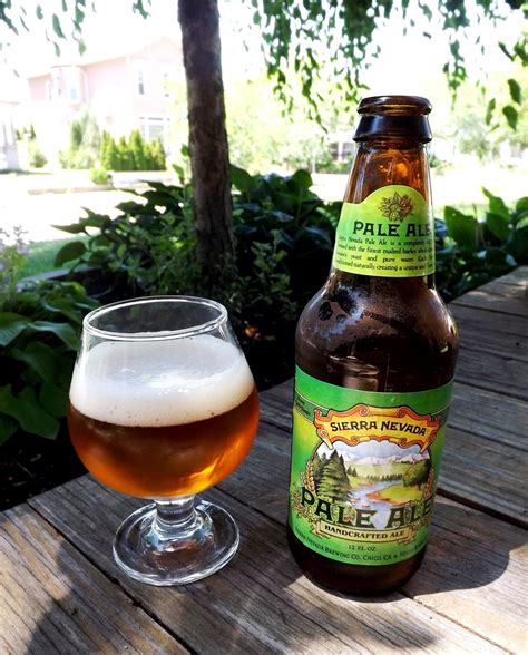 The 10 Best American Pale Ale Beer Brands To Try in 2023