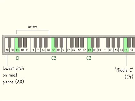 What Is The Average Vocal Range In Octaves - Home Alqu