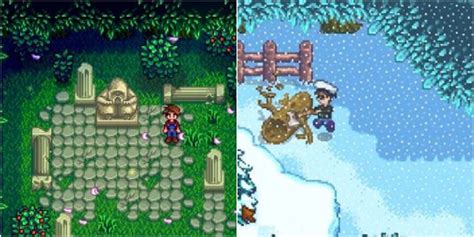 Stardew Valley: Everything You Need To Know About The Secret Woods