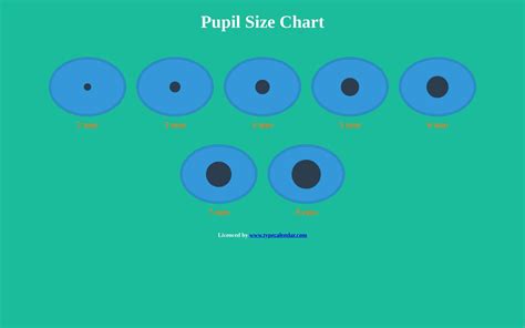 Pupil Size Chart Printable