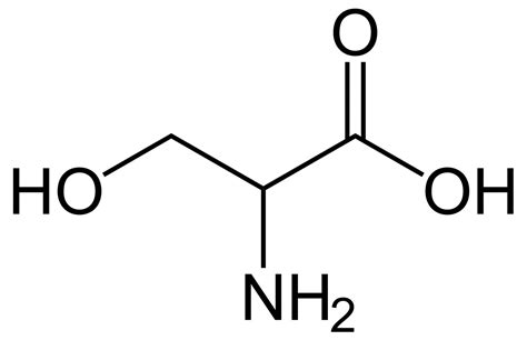 Serine Amino Acid - Function, Deficiency, Foods High In Serine