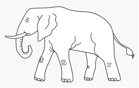 Outline Clipart Elephant - Indian Elephant, HD Png Download ...