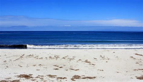 Spanish Bay Beach in Pacific Grove, CA - California Beaches