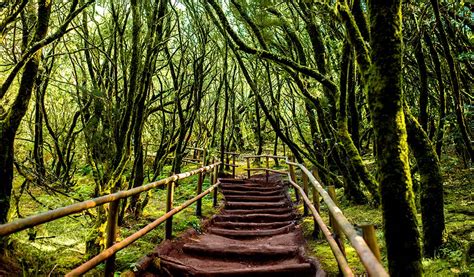 Los 4 parques nacionales de Canarias que nos aúpan en ese ranking y ...